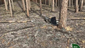 Уламки дрона спричинили лісову пожежу на Полтавщині