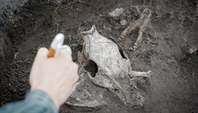 Мегабудівництво античності: як на Полтавщині звели найбільшу фортецю Європи