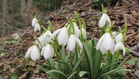 Полтавців попередили про різке похолодання