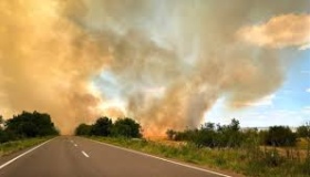 Понад сто пожеж в екосистемах області виникло цьогоріч