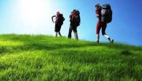 Полтавщина отримала майже два млн гривень туристичного збору за три місяці