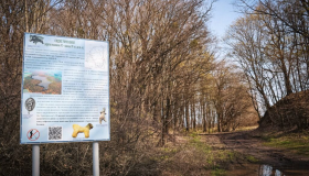 На Полтавщині проведуть лісову експедицію до Більського городища