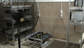 На Полтавщині судитимуть чоловіка за крадіжку електроенергії для майнінгу криптовалюти