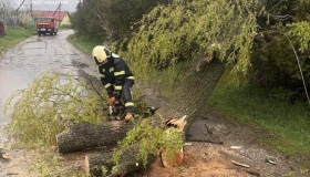 Через негоду понад сорок тисяч абонентів залишилися без світла на Полтавщині