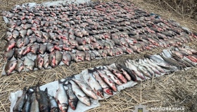 Кременчуцькі браконьєри наловили риби на понад чотири млн грн