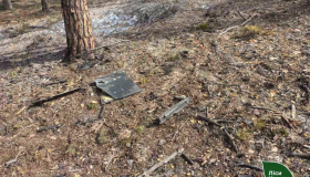 У лісах Полтавщини з початку пожежнонебезпечного періоду зафіксовано два загоряння