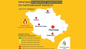 У лісах Полтавщини зберігається найвищий рівень пожежної небезпеки