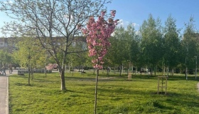 У Полтаві встановлять меморіал дітям, загиблим від ракетного удару