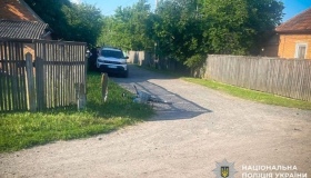 У Миргороді госпіталізували велосипедистку
