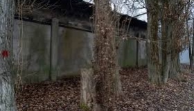 У Полтаві приберуть аварійні дерева за майже три мільйони