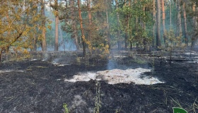 На Полтавщині горів ліс через російську атаку