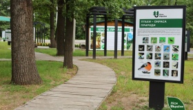 Поблизу Полтави функціонує лісова екостежка. ФОТО