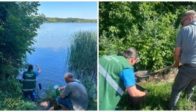 На Полтавщині з'ясовують причини масової загибелі риби у Троянівському водосховищі