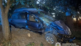 Смертельна ДТП: водій "Kia" врізався в дерево