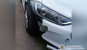 Під Полтавою водійка збила чоловіка з собакою та втекла з місця ДТП