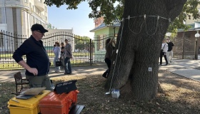 У Полтаві досліджують сторічні дерева. ВІДЕО