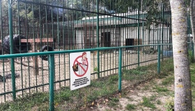 У Котельві ветеринара засудять за травмування 5-річного хлопчика левицею