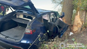 На Полтавщині Tesla врізалася в дерево: травмувалися двоє дітей і дві жінки