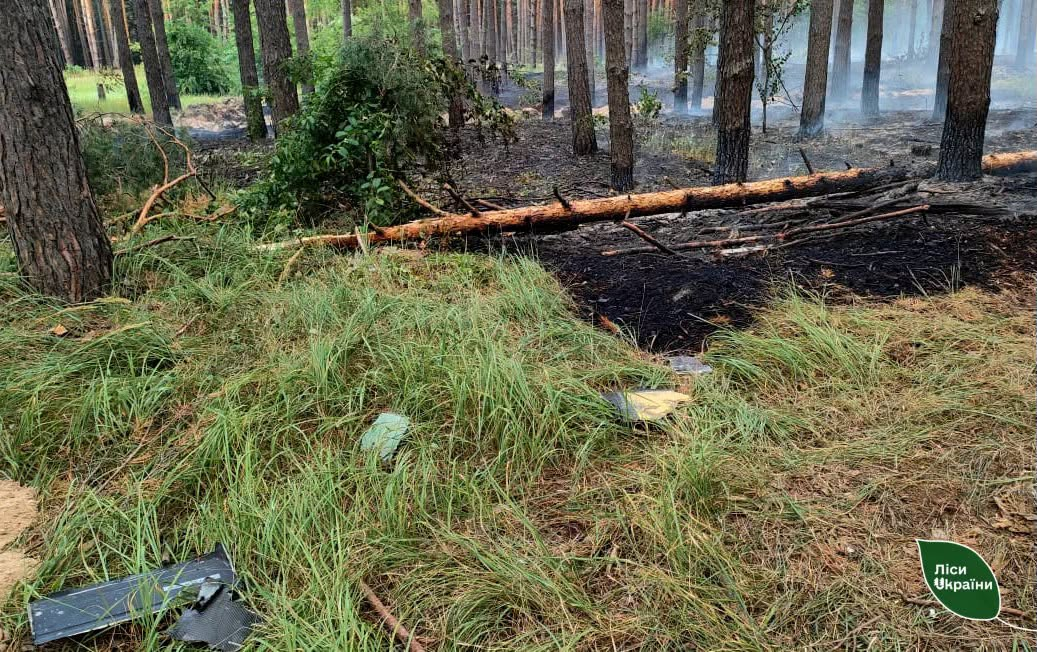 Падіння дрона: на Полтавщині ліквідували лісову пожежу