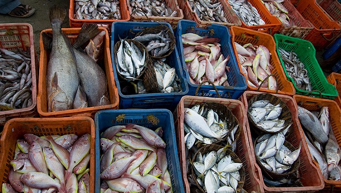 Можно купить свежую рыбу. Рыба на рынке. Рыбный рынок в Тюмени. Пресноводная рыба на рынке. Рыбный рынок Симферополь.